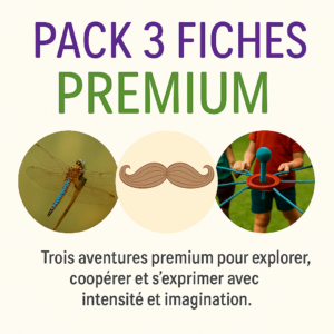 "Pack 3 Fiches – Premium"